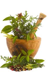 Herbal Plants